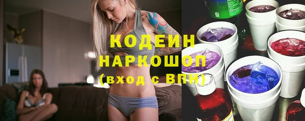 хмурый Алзамай