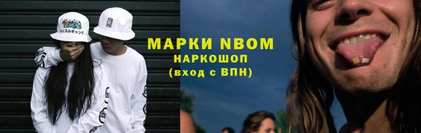 хмурый Алзамай
