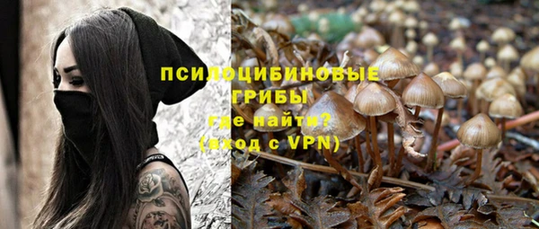 хмурый Алзамай