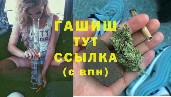 хмурый Алзамай