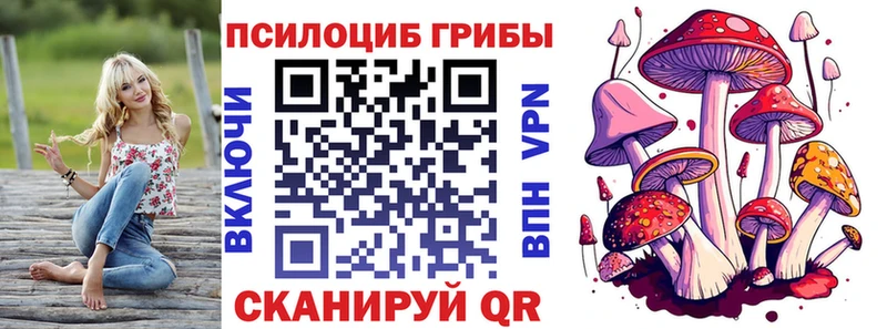 закладка  Буй  Галлюциногенные грибы ЛСД 